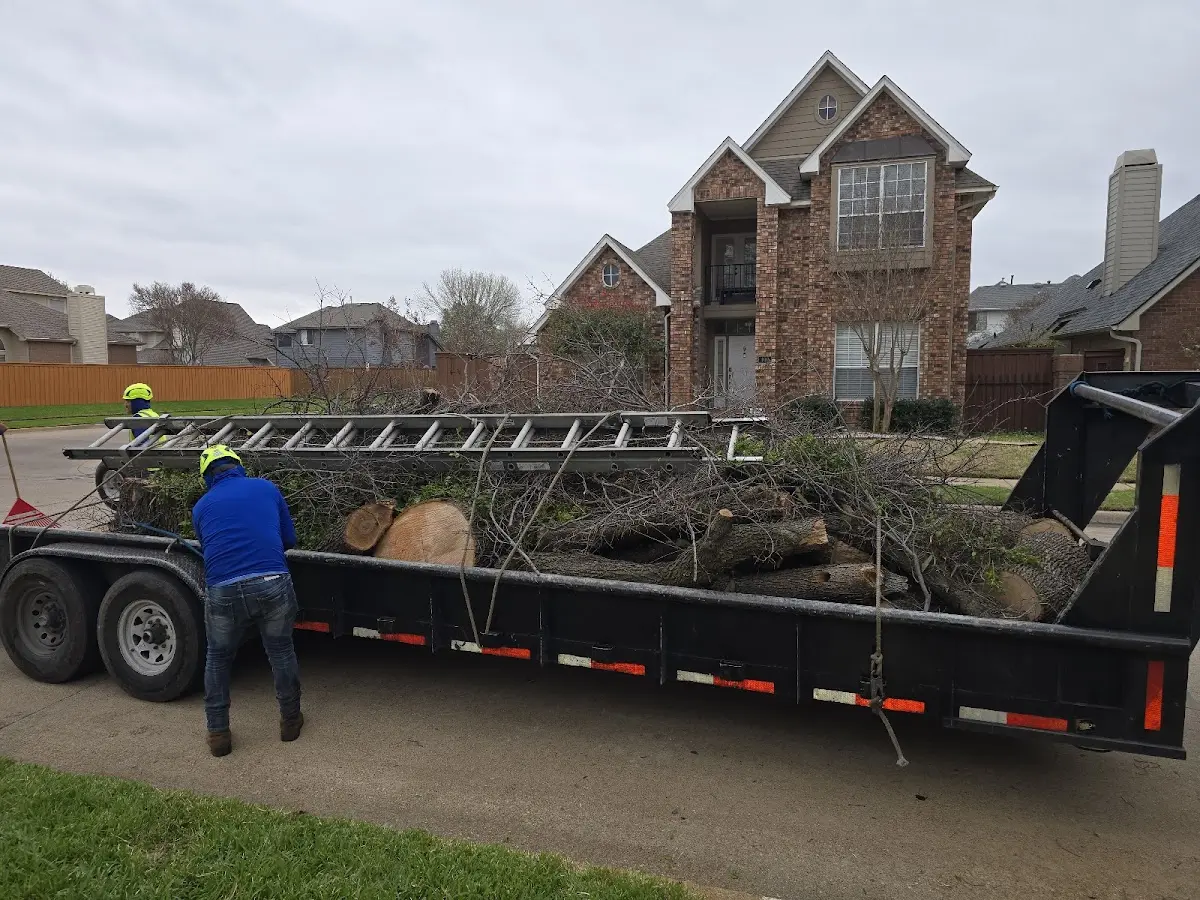 Expert Crown Reduction with proper safety equipment in Charles City